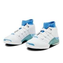 Jordan 17 Low 2024 Men's FJ0395-101 EU 42.5 mėlyna