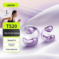 LanShiDun TS22 Open-Ear Hook Bluetooth Earbuds