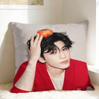 Zhang Linghe Pillowcases Vintage Pillow Case For Couch Sofa Bedroom Comfy Pillow Cover Peach skin 18*18(CM)-1Pcs