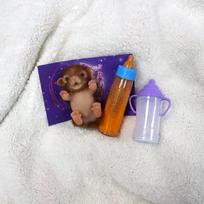 12CM Silikoninis Šuniukas Bebe Reborn Lėlės Viso Kūno Silikonas Rankų Darbo Gyvas Reborn Gyvūnas Lėlės reborn de silicone real cuerpo