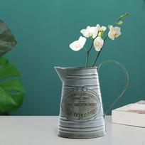Iron Kettle Flower Pot Watering Can Flowerpot Planter Jug for Kitchen Style F blue
