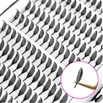 New Trend Premade Fan Lash Extensions Spire Shape Eyelashes 0.07 C D Curl Spire Anime Lashes 8 mm&D&0.07MM&3 lines/tray Plastic Tray