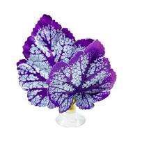 Betta Fish Leaf Pad akvariumo dekoras Streso mažinimas Privatumo didinimas Realistiškas poilsio lovos hamakas, imituojantis buveinę Lengvai valomas Aukštas modeliavimas violetinė