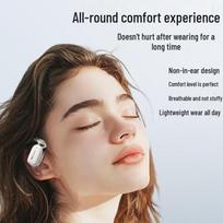 Newsmy LY29 Open-Ear True Wireless Bluetooth Ear-hook Headphones