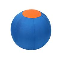 Jolly Ball with Protective Cover & Pump Dog Ball To Keep Them Busy for Collie  Shepherd All Herding Breeds