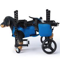 Šuns keturratis vežimėlis Prancūzų kovinis Teddy draugas Lūžusi koja Negalia Mokymas Reabilitacijos pagalba Padedamas vaikščiojimo automobilis Adjustable pet 3-9kg mėlyna