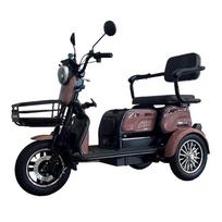 Elektrinis triratis motoroleris, BSKENDO3A, rudas, surinktas, 500 W