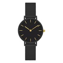 Waterproof Movement Steel Chain Watch Light Luxury Niche Minimalist Wind Steel Mesh Belt Slim Watch Lady