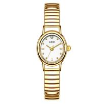 Niche Premium Oval Women'S Watch Light Luxury High Value Small Exquisite Waterproof Women'S Elastic Belt Watch
