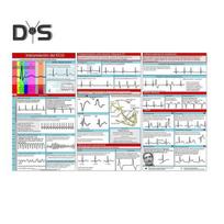 EKG kišeninis vadovas EKG ritmo interpretacija Dvipusė kišeninė informacinė kortelė Trinarė studijų knygelė studentams, slaugytojams 1pc