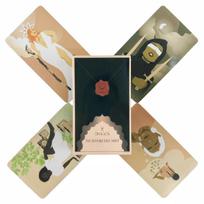The Seeking Soul Tarot Cards A 78 Deck Oracle English Visions Divination Edition Board Playing Games