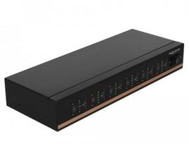 Šakotuvas Delock USB 2.0 auf 12 Port Seriell RS-232 Hub