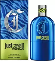 Roberto Cavalli Just Cavalli Wild Mėlyna EDT tualetinis vanduo vyrams, 90 ml
