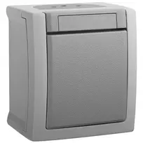 Pacific Grey (Quick Connection) Switch