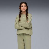 Puma Sportinis Kostiumas Paaugliams Loungewear Sweat Suit Fl Lux Army 689727 82 689727 82/164