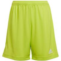 Šortai berniukams Adidas Entrada 22 Jr HC5065, žali, 152 cm