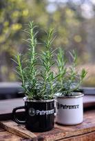 PETROMAX emaliuoto plieno puodelis, juodas