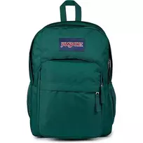 JANSPORT Big Day Pack - ŽALIA
