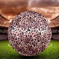 Shinning Leopard Indoor Soccer Ball Size 5 Colorful All Ages Machine Stitched PVC Competition Ready Durable High-Bounce