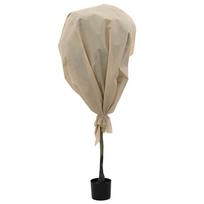 Plant Winter Protection Beige 100 x 1.6 m Non woven Fabric