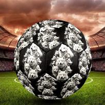 Scottish Shepherd Indoor Soccer Ball Size 5 Colorful All Ages Machine Stitched PVC Competition Ready Durable High-Bounce