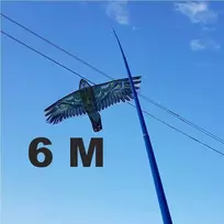 Kotas 6M Aitvarui
