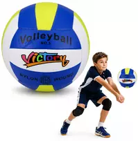 Lean Toys Kamuolys tinkliniui 22 cm