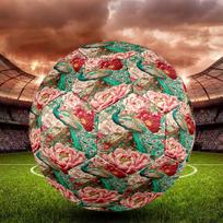 Zebra Parrot Indoor Soccer Ball Size 5 Colorful All Ages Machine Stitched PVC Competition Ready Durable High-Bounce