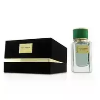 Dolce  AND  Gabbana Dolce  AND  Gabbana Velvet Cypress EDP 150ml