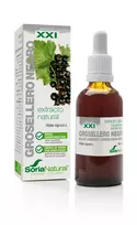 SORIA Blackcurrant Extract S XXI 50ml