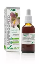 SORIA Harpagophytum Extract X XXI 50ml