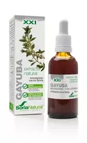 SORIA Gayuba Extract S XXI 50ml