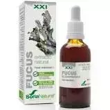 SORIA Fucus Extract S XXI 50ml