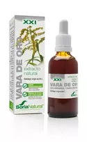 SORIA Extract Gold Wand S XXI 50ml