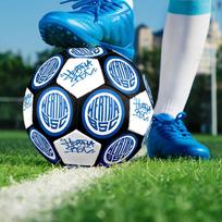 Hertha BSCfootball clubIndoor Size 5 Soccer Ball Colorful Machine Stitched PVC Competition Ready Durable High-Bounce