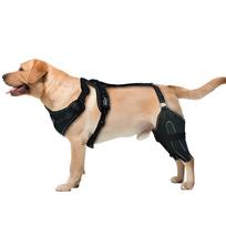Adjustable Thick Dog Knee Brace Neoprene Support for ACL/CCL Torn Ligament Arthritis Relief Breathable Double Leg Protector (as the picture,S) black