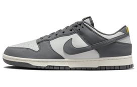 Nike Dunk Low Next Nature Iron Grey FZ4621-001 42 gray