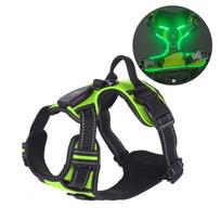Rechargeable Luminous Pet Chest Strap Adjustable Dog Glow Vest LED Dog Harness  for Night Walking S žalia
