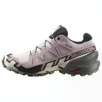 SALOMON Speedcross 6 Gore Tex 'Pink' / L00Women's 417436 36