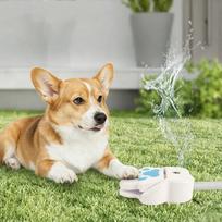 Outdoor Pet Water Fountain Paw Press Activated Splashing Water Toy Foot Pedal Drinking Fountain for Dogs and Cats Summer Use One Size