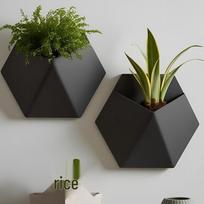 New 3D Wall Flower Pot Decoration – Hot-Selling! juoda