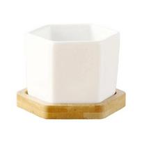 Geometrinis baltas keramikinis kvadratinis bonsai vazonas Maži sultinių gėlių vazonėliai Modernus mažas kaktuso gėlių vazonėlis Bambukinis padėklas balta