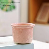Keramikinis sukulentų vazonas su ledo įtrūkimo drugelio dizainu Ceramic