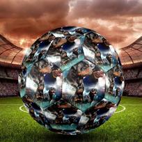 Rottweiler Indoor Soccer Ball Size 5 Colorful All Ages Machine Stitched PVC Competition Ready Durable High-Bounce