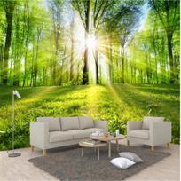 Forest Sunshine Wallpaper Nature Landscape Mural Living Room Bedroom TV Sofa background Wall Mural wall paper 200 cm(W) x 140 cm(H)