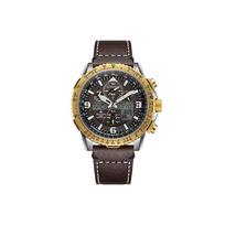 Citizen 200M atsparus vandeniui Eco-Drive kvarcinis laikrodis su odiniu dirželiu Unisex laikrodžiai Rudo atspalvio JY8084-17H Regular Watch Box
