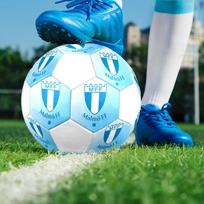 Malmö FFfootball clubIndoor Size 5 Soccer Ball Colorful Machine Stitched PVC Competition Ready Durable High-Bounce