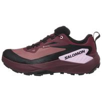 Genesis Wmns Salomon GORE-TEX 'Rose Taupe' Women's L47588900 37⅓