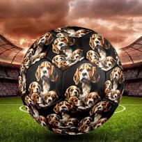 Poodle Bull Indoor Soccer Ball Size 5 Colorful All Ages Machine Stitched PVC Competition Ready Durable High-Bounce