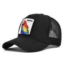 Vintažinė reguliuojama unisex kepurė lauko žygiams ir alpinizmui adjustable
